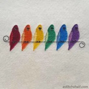 Rainbow Budgies