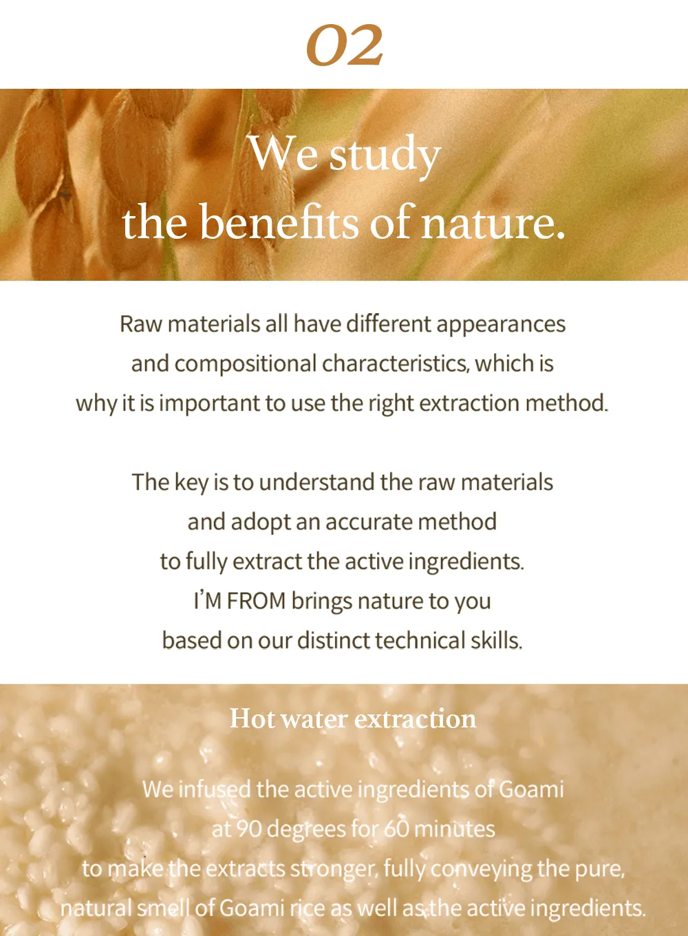 Rice Sunscreen (50ml)